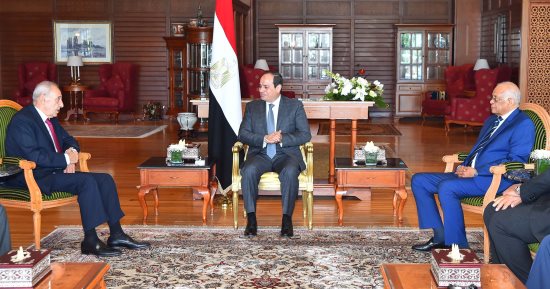 السيسى يستقبل نبيه برى ويشكره على الاهتمام بالمشاركة فى منتدى شباب العالم
