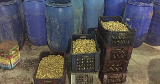ضبط مصنع مخللات بدون ترخيص في حملة تموينية بالإسكندرية