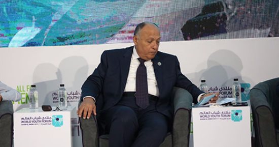 سامح شكرى: يجب على الدولة حماية مواطنيها من خلال الدخول فى تحالفات إقليمية