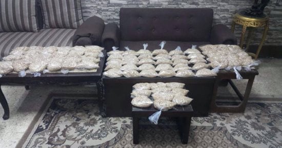 ضبط 3 عاطلين وسائق بحوزتهم أقراص مخدرة وحشيش بالبحر الأحمر 