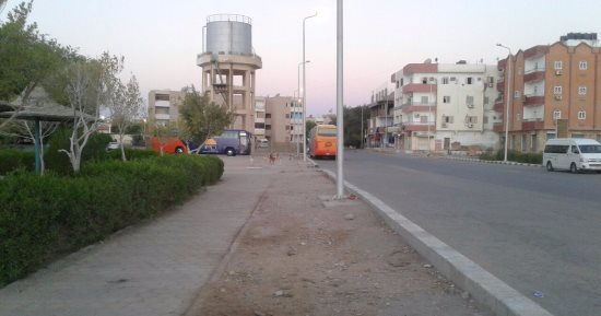 أهالى القصير بالبحر الأحمر يشكون تهالك الطرق وانتشار الكلاب الضالة
