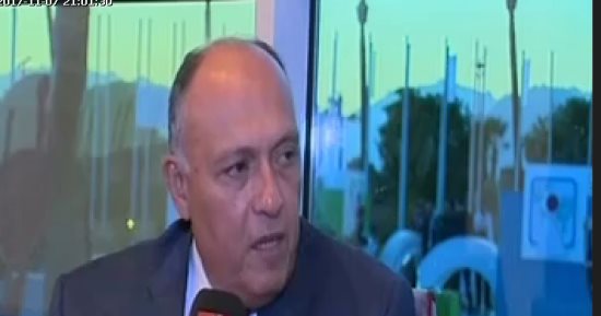 وزير الخارجية: يجب القضاء على الهجرة غير الشرعية وحماية شباب مصر والعرب
