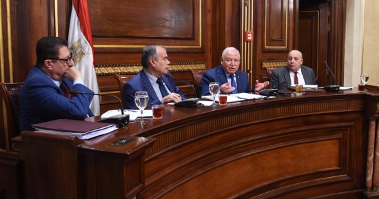 بالصور.. السيد فليفل من "البرلمان": 68% من جينات المصريين أفريقية