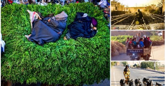 الشارع فى أسبوع.. جد وفرح ورحلة رزق.. لقطات من قلب حياة المصريين.. المعافرة مع النوم بعد "الشقى".. وخزنة أسرار وحكايات البنات.. حضن الأب لابنه مابيتنسيش..  وضحكة الأطفال البريئة فى مشوار المدرسة تهون السكة