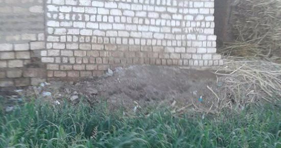 قارئ يطالب إزالة التعديات والبناء المخالف لترعة قرية المعابدة بأسيوط