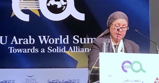 الهيئة العامة للاستثمار تنجح فى حل مشكلة المساهمين بشركة العبوات الطبية