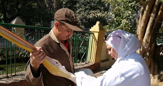 تحصين 45540 طائراً من الأمراض الوبائية واستمرار أعمال التطهير بمدن كفر الشيخ