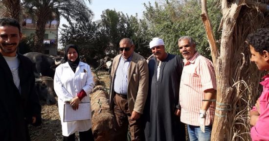 انطلاق الحملة القومية للتحصين ضد الحمى القلاعية بالفيوم