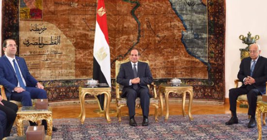 السيسى يتفق مع رئيس حكومة تونس على ضرورة مواجهة التحديات المشتركة