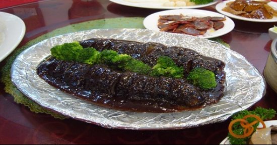 احنا كتير ومبنخلصش.. بعد محاولة تهريب طن منها.. تعرف على عائلة خيار البحر