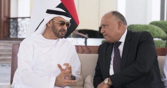 سامح شكرى يبحث مع ولى عهد أبو ظبى سبل تعزيز العمل العربى المشترك