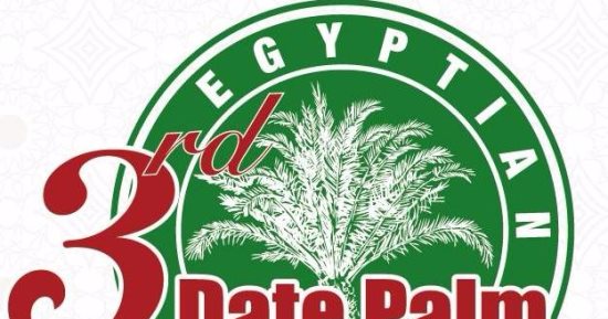 غدًا.. انطلاق مهرجان التمور المصرية الثالث لمدة 4 أيام بواحة سيوة