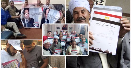 عبير يسرى تكتب: علشان تبنيها