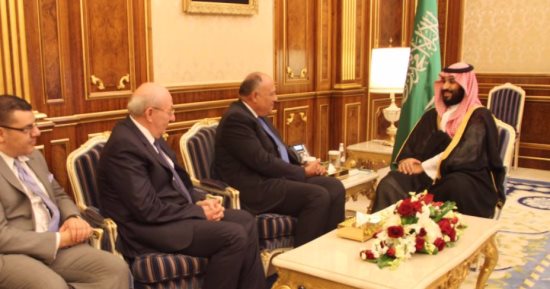 الخارجية: شكرى أكد على دعم مصر الكامل للسعودية وأهمية تعزيز التنسيق العربى