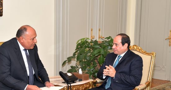 السيسى يجتمع بوزير الخارجية ويؤكد موقف مصر الثابت لصيانة التضامن العربى
