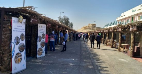 محافظ الوادى الجديد: تنظيم الملتقى التسويقى الأول للتمور منتصف أكتوبر المقبل