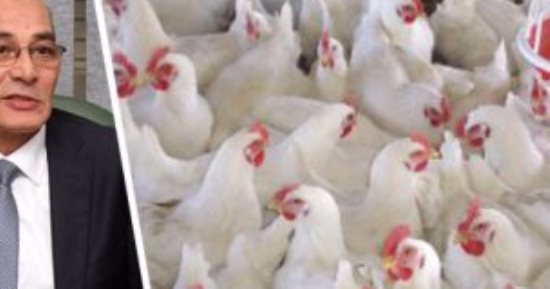 س و ج.. كل ما تريد معرفته عن نقل مزارع الدواجن للظهير الصحراوى