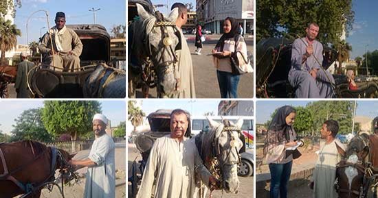 صور.. على أرضها اتمخطر يا أسطى.. سائقو الحنطور بأسوان لـ"اليوم السابع": الموسم السياحى هذا العام بشرة خير.. الرئيس شهرنا بعد جولته بكورنيش المحافظة.. ويؤكدون: المصريون أنقذونا بعد ترك السياح للمدينة