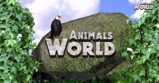 ما هو طائر أبو قرن الهندى؟ حلقة جديدة من برنامج "Animals World" على فارولاند