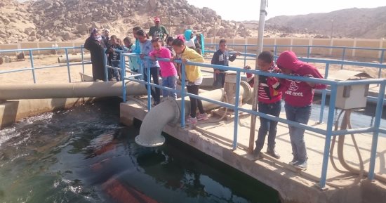 الشباب والرياضة ينظم رحلة لـ23 طفلاً إلى سمبزيوم أسوان الدولى..صور