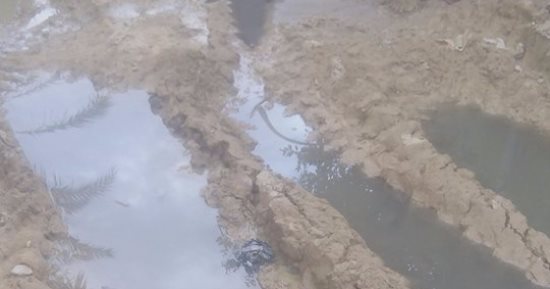 صور.. مياه الصرف الصحى تغرق الشوارع بحى البساتين فى الخارجة