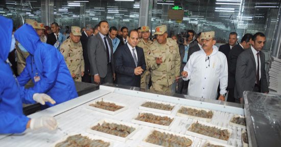 السيسى يعلن افتتاح 20 ألف فدان صوب قبل 30 يونيو (صور)