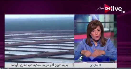 التليفزيون هذا المساء... الأرصاد تحذر: شبورة كثيفة على معظم الأنحاء وانخفاض فى درجات الحرارة.. باحث فى شئون الجماعات الإرهابية: تنظيم الإخوان يقترب من النهاية.. وأمانى الخياط تعرض التاريخ السرى لأمهات الإرهاب