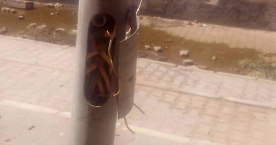 صور.. شكوى من أسلاك مكشوفة بأعمدة إنارة فى مدينة بدر الجديدة