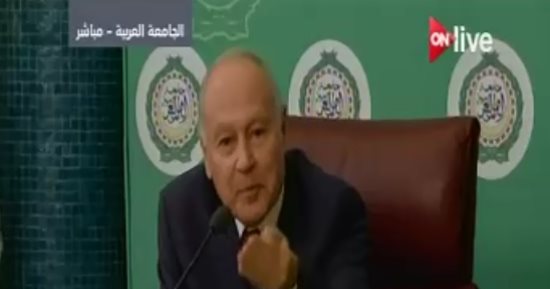  أبو الغيط: بيان وزراء الخارجية العرب أشار إلى أن حزب الله منظمة إرهابية