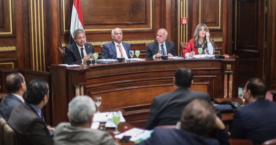 حماية المنافسة: إذاعة مباريات مصر بالمونديال على القنوات الأرضية يتطلب تحركا دوليا
