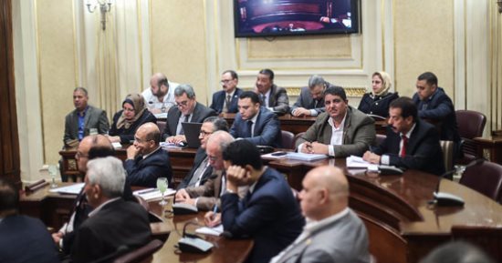 النائب بلال النحال يطالب وزارة الشباب بالتصدى للأفكار المتطرفة
