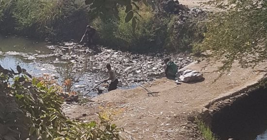 قارئ يرصد أطفال يجمعون القمامة من داخل ترعة مركز قوص بمحافظة قنا