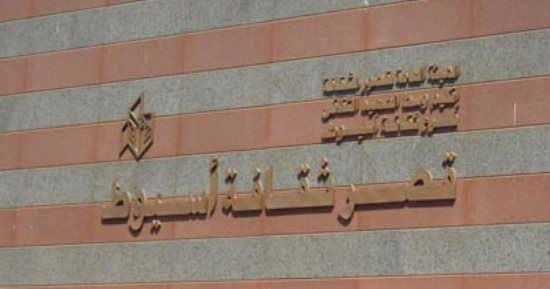 مواقع ثقافية.. أسيوط تضم 16 بيتا وقصر ثقافة و4 مكتبات عامة و6 للطفل