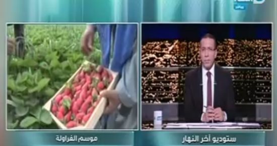 فيديو.. مستشار وزير الزراعة: الباب مازال مفتوحا أمام أصحاب المزارع لتصدير محاصيلهم