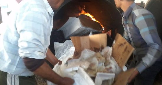صور.. إعدام لحوم وكبدة منتهية الصلاحية بعد ضبطها بثلاجة مطعم شهير ببورسعيد