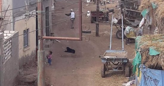 أعمدة إنارة تتوسط الشوارع فى عزبة الفار بكفر الشيخ 
