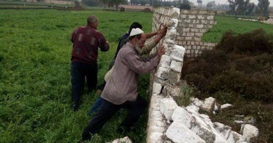 إزالة 8 حالات تعد على الأراضى الزراعية فى حملة بالقليوبية  