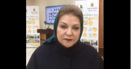 فيديو..المجلس القومى للمرأة يكشف: نتلقى 2000 شكوى عن العنف ضد النساء شهريًا