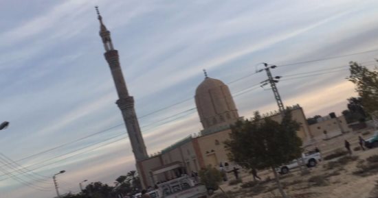 "يونيسيف" تدين هجوم مسجد الروضة الإرهابى بالعريش