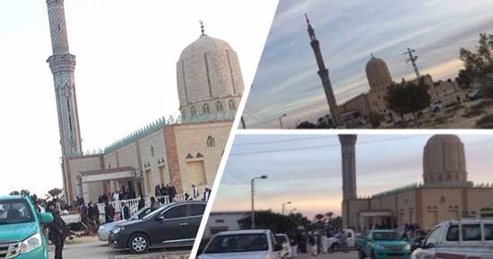 "مدينة العريش".. أيقونة ثقافة الصمود والمقاومة
