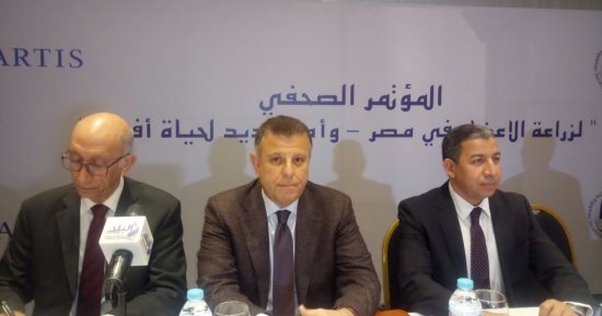 المنظمة الدولية لمؤسسات الكلى: 60 ألف مريض مصرى يقوم بالغسيل الكلوى سنويًا