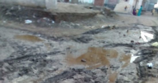 المياه الجوفية تهدد منازل الضاحية الغربية بصان الحجر فى الشرقية