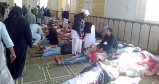 برلمانى إيطالى: مصر تدفع ثمن وقوفها فى وجه الإرهاب وعلى الجميع مساندتها 