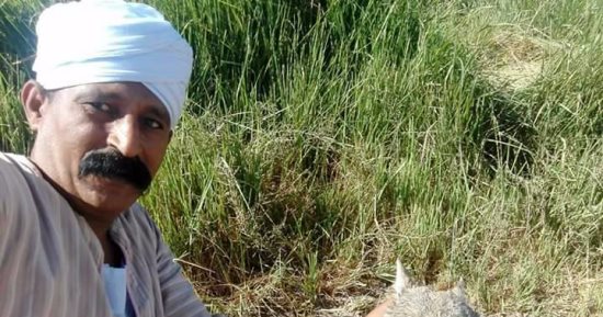 صور .. مزارعون فى إسنا يصطادون ذئبا روع الأهالي ويلتقطون "سيلفى" معه