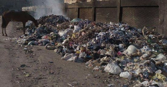 رفع 20 طن قمامة وتشجير بشوارع مدينة سمسطا ببنى سويف