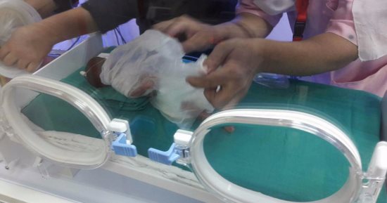 صور.. إسعاف كفر الشيخ ينقذ طفلة وزنها 600 جرام للمرة الثانية فى أسبوع