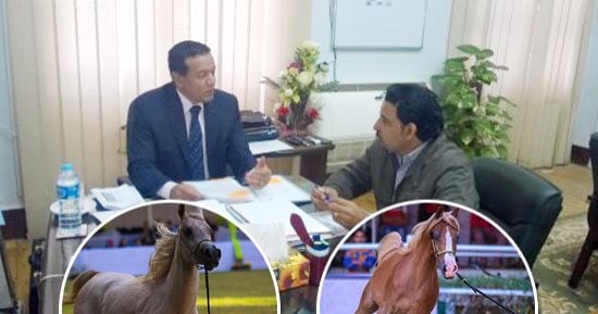 تفاصيل إنشاء أكبر محطة عالمية للخيول بـ6 أكتوبر.. "الزراعة": تقام على 1000 فدان بدعم من الرئيس السيسي.. وتكشف: تضم موقعًا لسباق الخيل ومنتجعًا سياحيًا للمربين ومنطقة حجرية للتصدير وشبكة "تلفريك" للتنقل (صور)