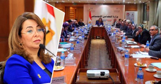 تفاصيل اجتماع وزيرة التضامن وممثلى الجمعيات لدعم قرية الروضة.. توزيع 1000 رأس ماشية وقافلة طبية وغذائية الإثنين.. غرس أشجار زيتون بعدد الشهداء.. 50 مليون جنيه تعويضات.. و500 كرتونة أغذية لـ500 أسرة لمدة 3 أشهر