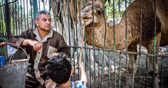 صورة اليوم.. عمر العشرة بينا ما تهون