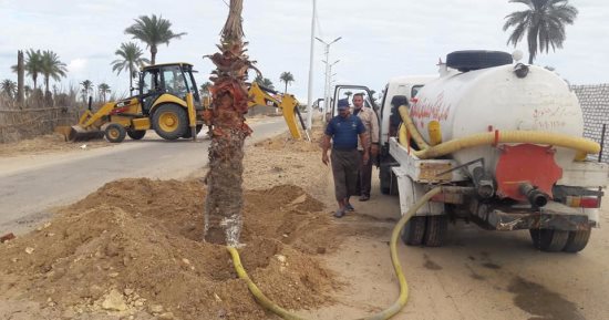 صور.. زراعة أشجار الزينة بمصيف بلطيم ورصف الطرق استعدادا لموسم الصيف